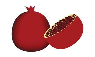 Pomegranate Design And Illustration. vector