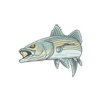 striped bass fishing illustration logo vector