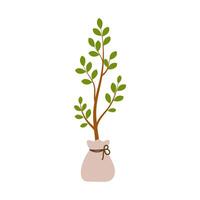 Tree seedling with closed roots and leaves on branch. illustration vector