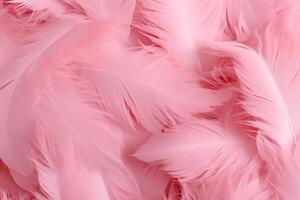 hermosa pluma modelo fondo de pantalla, soñador pluma resumen fondo, rosado plumas fondo de pantalla, ligero rosado pájaro plumas patrón, foto