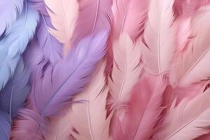 Pastel Feathers Background, pastel color feather abstract background texture, pastel feathers wallpaper, pastel bird feathers pattern, photo