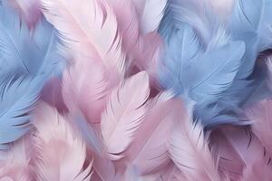 Pastel Feathers Background, pastel color feather abstract background texture, pastel feathers wallpaper, pastel bird feathers pattern, photo