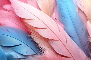 Pastel Feathers Background, pastel color feather abstract background texture, pastel feathers wallpaper, pastel bird feathers pattern, photo