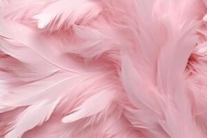 Light Pink Feathers Background, Light Pink feathers pattern, feathers background, feathers wallpaper, bird feathers pattern, photo