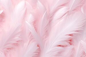 Light Pink Feathers Background, Light Pink feathers pattern, feathers background, feathers wallpaper, bird feathers pattern, photo