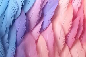 Pastel Feathers Background, pastel color feather abstract background texture, pastel feathers wallpaper, pastel bird feathers pattern, photo