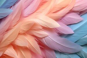 Pastel Feathers Background, pastel color feather abstract background texture, pastel feathers wallpaper, pastel bird feathers pattern, photo