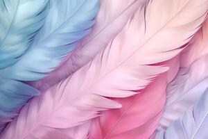 Pastel Feathers Background, pastel color feather abstract background texture, pastel feathers wallpaper, pastel bird feathers pattern, photo