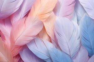 Pastel Feathers Background, pastel color feather abstract background texture, pastel feathers wallpaper, pastel bird feathers pattern, photo