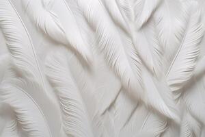 White Soft Feathers Background, White Fluffy feathers pattern, Beautiful feathers background, feathers wallpaper, bird feathers pattern, photo