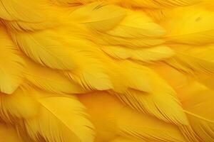 Yellow Feathers Background, Yellow feathers pattern, feathers background, feathers wallpaper, bird feathers pattern, photo