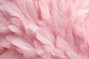 Light Pink Feathers Background, Light Pink feathers pattern, feathers background, feathers wallpaper, bird feathers pattern, photo