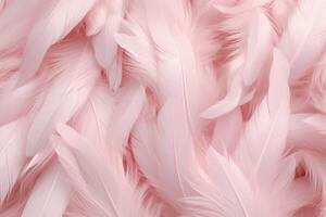 Light Pink Feathers Background, Light Pink feathers pattern, feathers background, feathers wallpaper, bird feathers pattern, photo