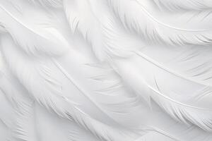 White Soft Feathers Background, White Fluffy feathers pattern, Beautiful feathers background, feathers wallpaper, bird feathers pattern, photo