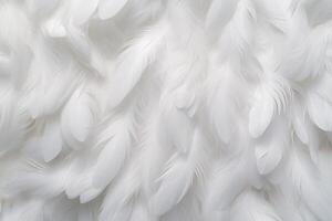 White Soft Feathers Background, White Fluffy feathers pattern, Beautiful feathers background, feathers wallpaper, bird feathers pattern, photo