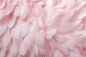 Light Pink Feathers Background, Light Pink feathers pattern, feathers background, feathers wallpaper, bird feathers pattern, photo