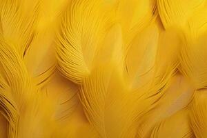 Yellow Feathers Background, Yellow feathers pattern, feathers background, feathers wallpaper, bird feathers pattern, photo