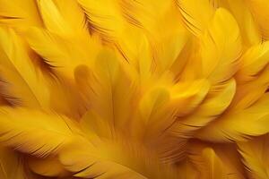 Yellow Feathers Background, Yellow feathers pattern, feathers background, feathers wallpaper, bird feathers pattern, photo