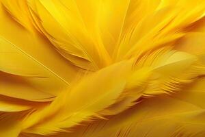 Yellow Feathers Background, Yellow feathers pattern, feathers background, feathers wallpaper, bird feathers pattern, photo