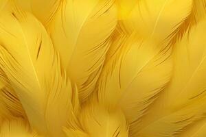 Yellow Feathers Background, Yellow feathers pattern, feathers background, feathers wallpaper, bird feathers pattern, photo