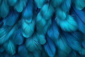 Blue Feathers Background, Blue Feathers Pattern, Feathers background, Feathers Wallpaper, bird feathers pattern, photo