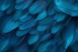 Blue Feathers Background, Blue Feathers Pattern, Feathers background, Feathers Wallpaper, bird feathers pattern, photo