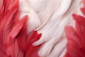 Red Feathers Background, red and white feathers pattern, feathers background, feathers wallpaper, bird feathers pattern, photo