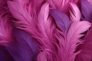 rosado mullido plumas fondo, rosado plumas patrón, hermosa plumas fondo, plumas fondo de pantalla, pájaro plumas patrón, foto