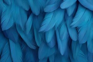 Blue Feathers Background, Blue Feathers Pattern, Feathers background, Feathers Wallpaper, bird feathers pattern, photo