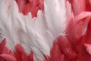 Red Feathers Background, red and white feathers pattern, feathers background, feathers wallpaper, bird feathers pattern, photo