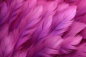 Pink Fluffy Feathers Background, Pink Feathers Pattern, Beautiful Feathers background, Feathers Wallpaper, bird feathers pattern, photo