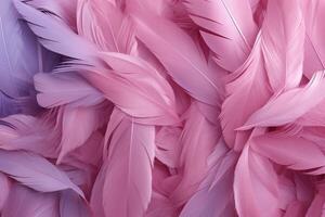 Pink Fluffy Feathers Background, Pink Feathers Pattern, Beautiful Feathers background, Feathers Wallpaper, bird feathers pattern, photo