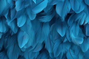 Blue Feathers Background, Blue Feathers Pattern, Feathers background, Feathers Wallpaper, bird feathers pattern, photo