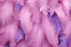 Pink Fluffy Feathers Background, Pink Feathers Pattern, Beautiful Feathers background, Feathers Wallpaper, bird feathers pattern, photo