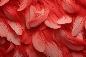 Red Feathers Background, red and white feathers pattern, feathers background, feathers wallpaper, bird feathers pattern, photo