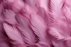 Pink Fluffy Feathers Background, Pink Feathers Pattern, Beautiful Feathers background, Feathers Wallpaper, bird feathers pattern, photo