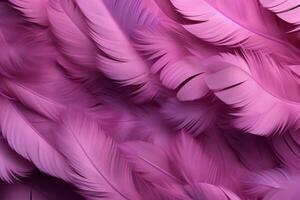 Pink Fluffy Feathers Background, Pink Feathers Pattern, Beautiful Feathers background, Feathers Wallpaper, bird feathers pattern, photo