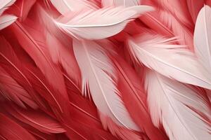 Red Feathers Background, red and white feathers pattern, feathers background, feathers wallpaper, bird feathers pattern, photo