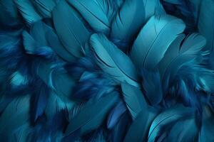 Blue Feathers Background, Blue Feathers Pattern, Feathers background, Feathers Wallpaper, bird feathers pattern, photo