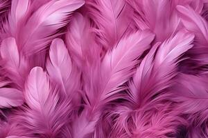 Pink Fluffy Feathers Background, Pink Feathers Pattern, Beautiful Feathers background, Feathers Wallpaper, bird feathers pattern, photo