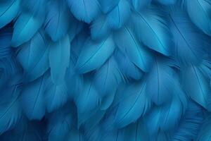 azul plumas fondo, azul plumas patrón, plumas fondo, plumas fondo de pantalla, pájaro plumas patrón, foto