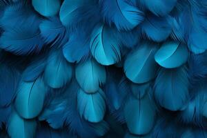 Blue Feathers Background, Blue Feathers Pattern, Feathers background, Feathers Wallpaper, bird feathers pattern, photo