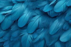 Blue Feathers Background, Blue Feathers Pattern, Feathers background, Feathers Wallpaper, bird feathers pattern, photo