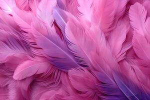 Pink Fluffy Feathers Background, Pink Feathers Pattern, Beautiful Feathers background, Feathers Wallpaper, bird feathers pattern, photo