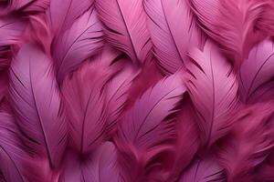 Pink Fluffy Feathers Background, Pink Feathers Pattern, Beautiful Feathers background, Feathers Wallpaper, bird feathers pattern, photo