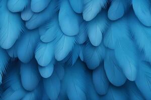 Blue Feathers Background, Blue Feathers Pattern, Feathers background, Feathers Wallpaper, bird feathers pattern, photo