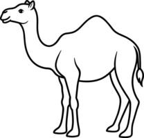 Camel On desert flat style 2d illustration vector