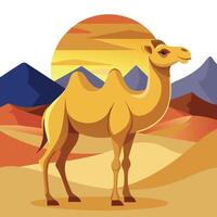 Camel On desert flat style 2d illustration vector