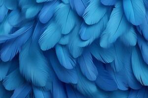 Blue Feathers Background, Blue Feathers Pattern, Feathers background, Feathers Wallpaper, bird feathers pattern, photo