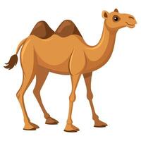 Camel On desert flat style 2d illustration vector